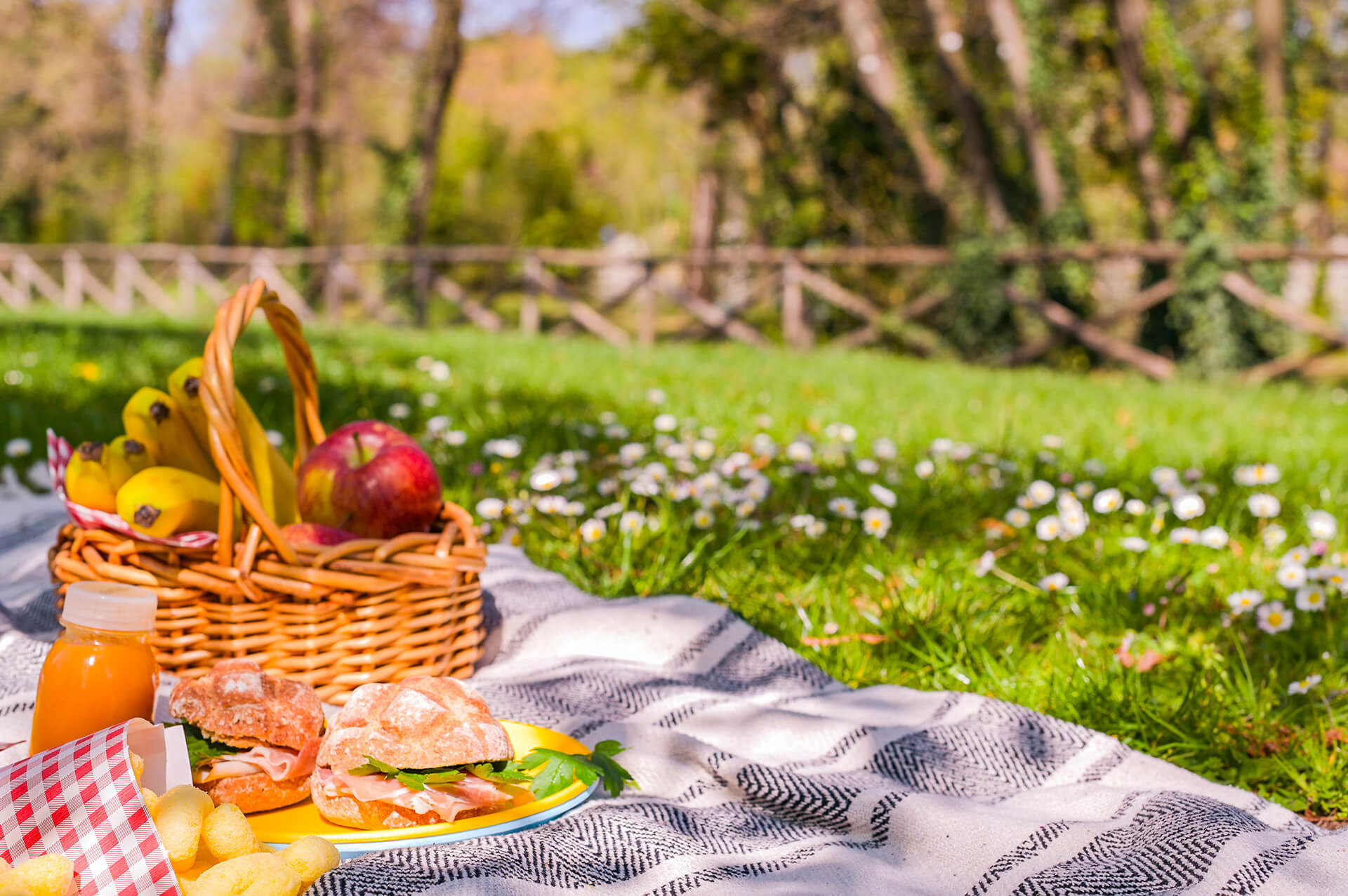 Menù per picnic all'aperto